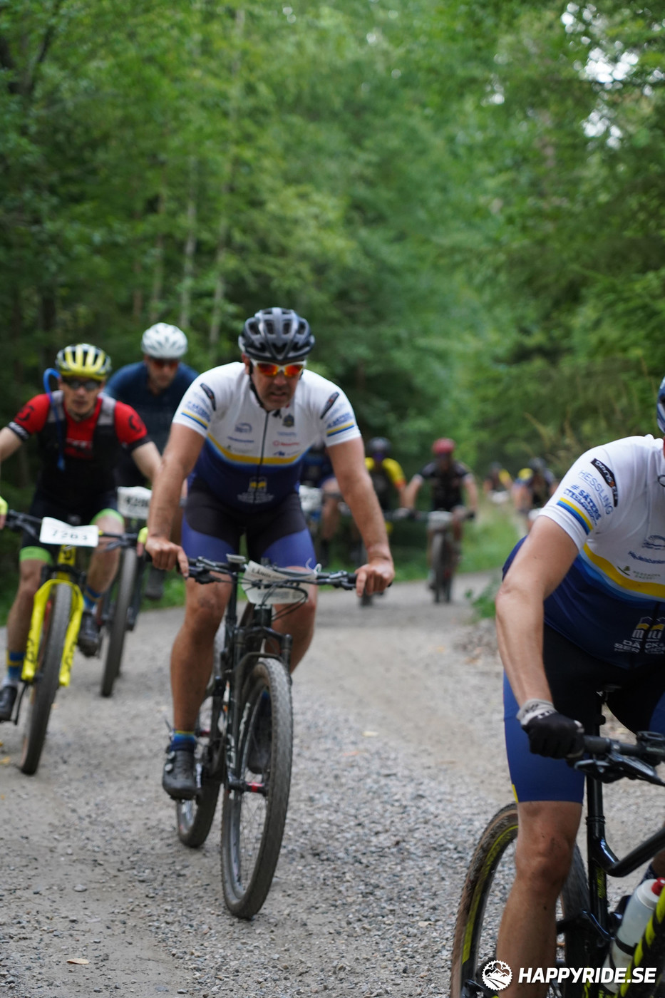 Bild från Finnmarksturen 2022