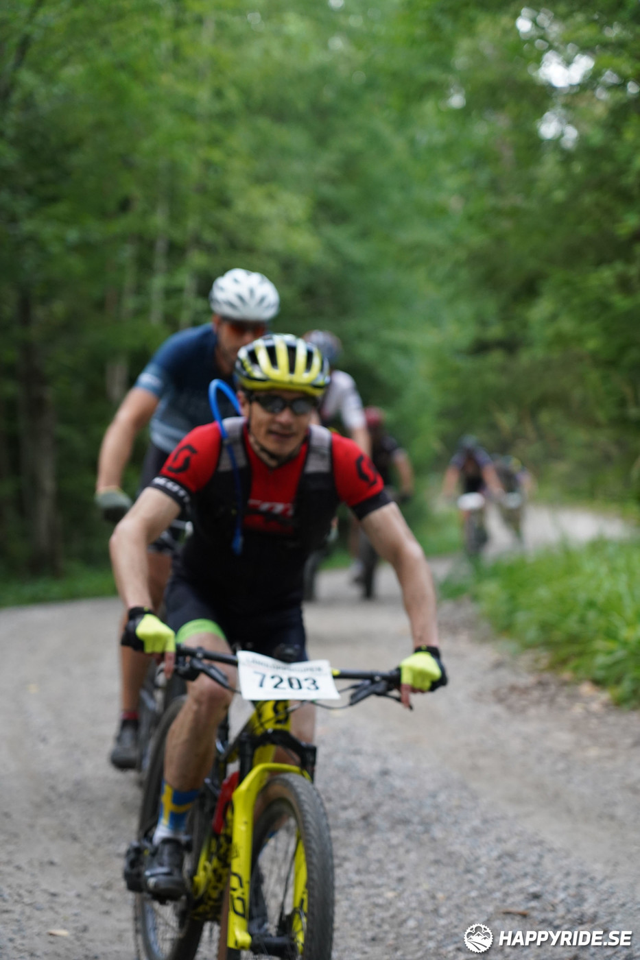 Bild från Finnmarksturen 2022