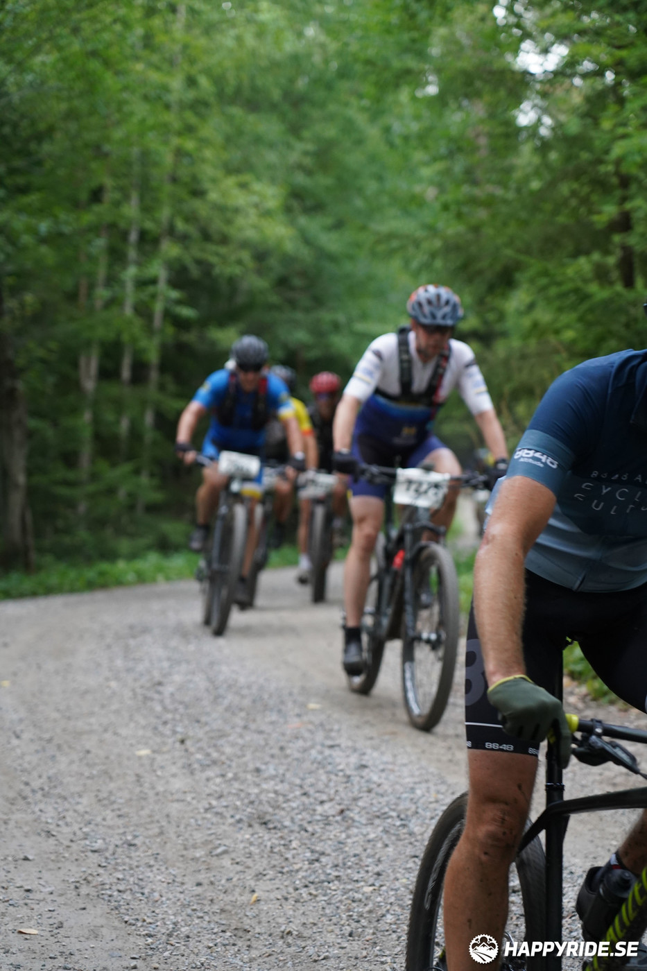 Bild från Finnmarksturen 2022