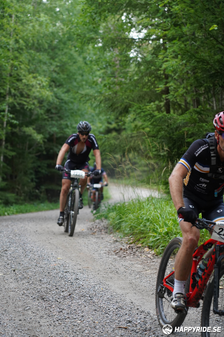 Bild från Finnmarksturen 2022