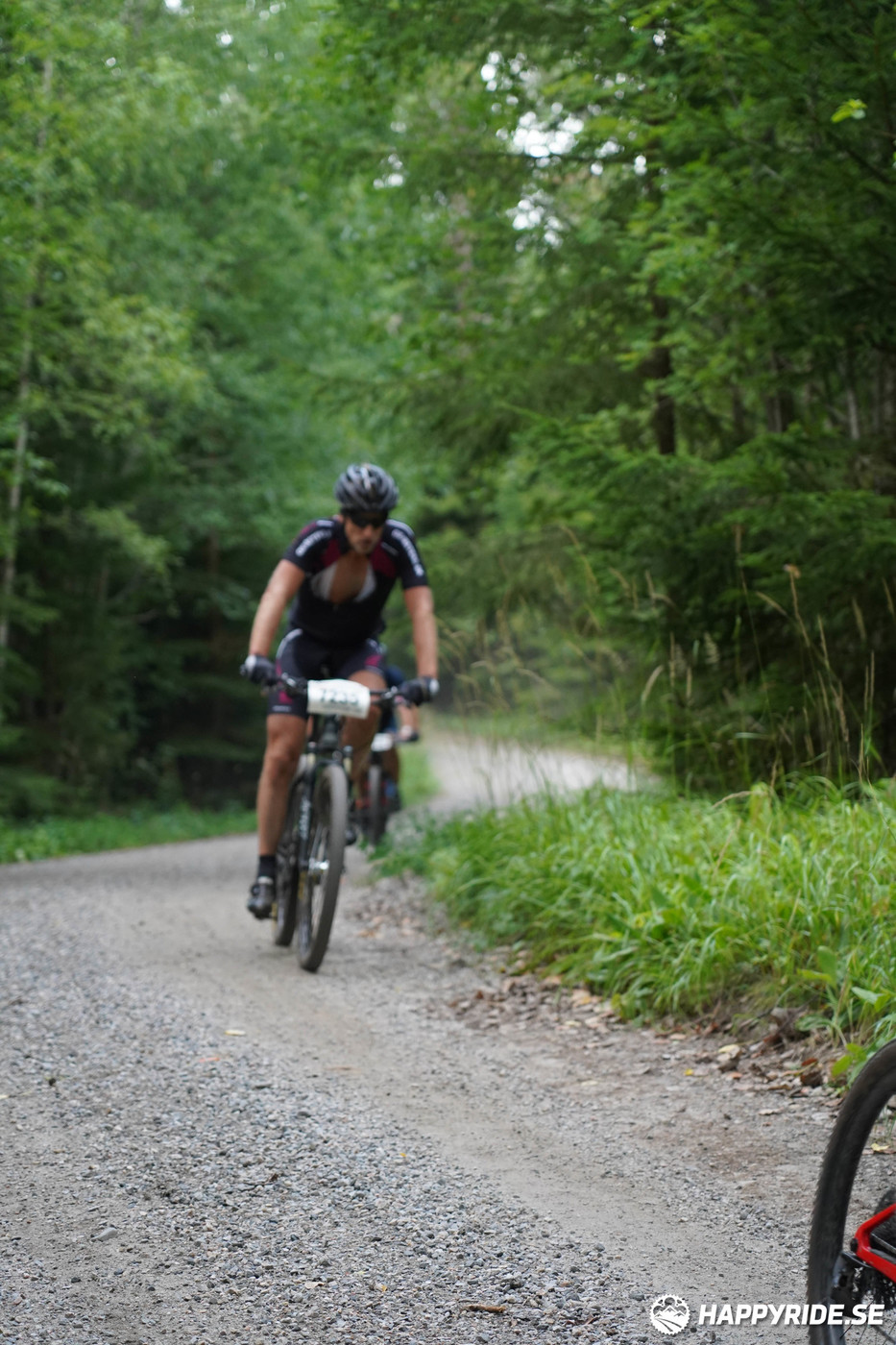 Bild från Finnmarksturen 2022