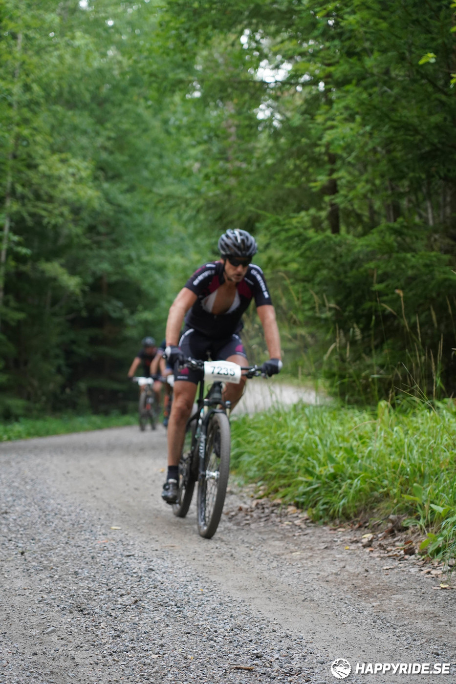 Bild från Finnmarksturen 2022