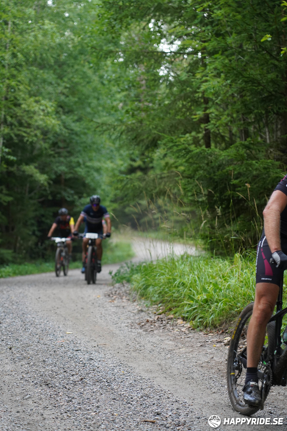 Bild från Finnmarksturen 2022