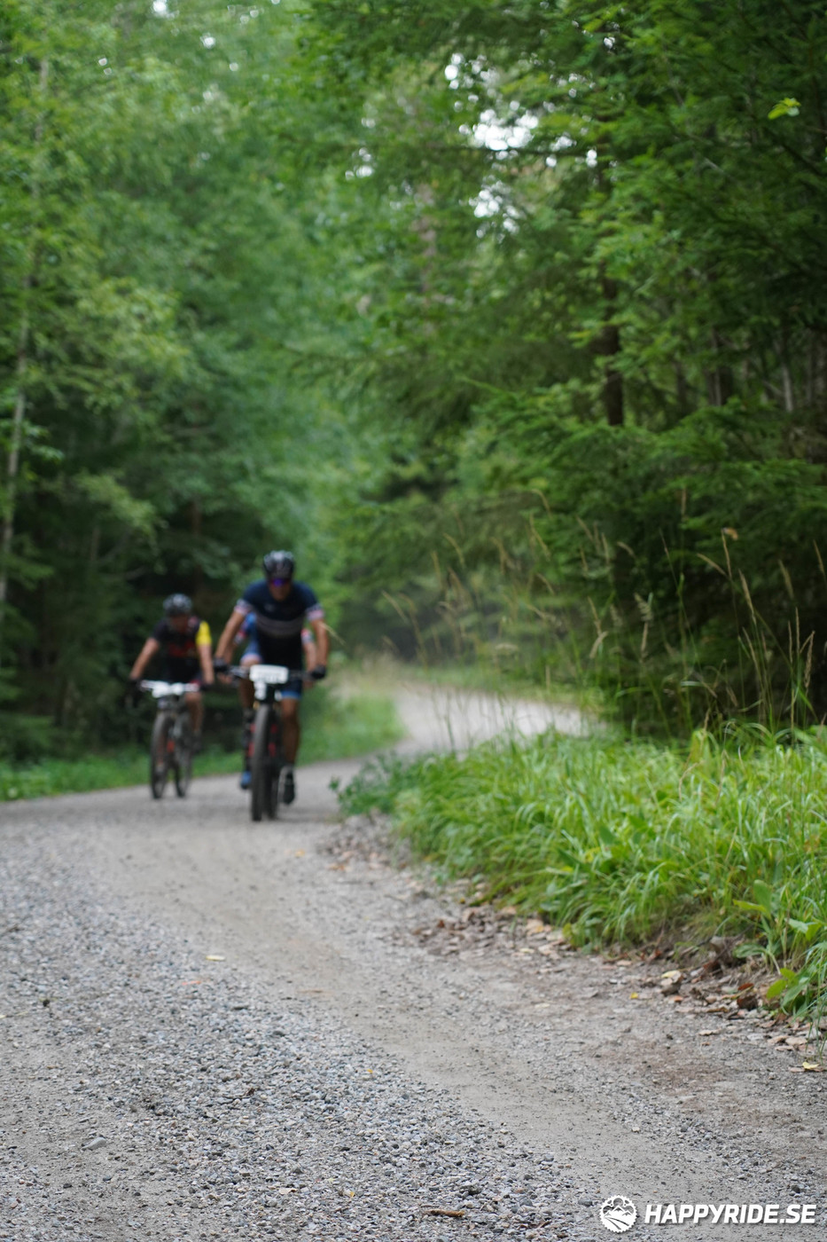 Bild från Finnmarksturen 2022