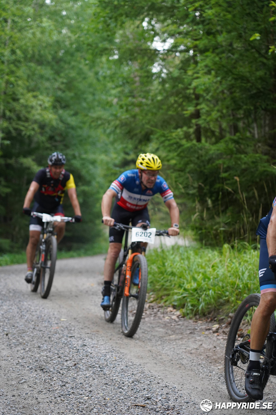 Bild från Finnmarksturen 2022