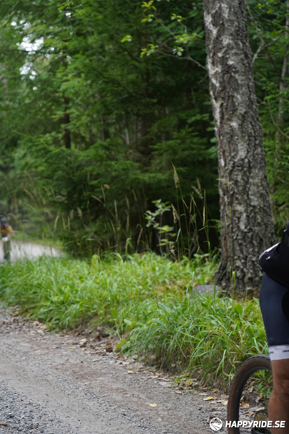 Bild från Finnmarksturen 2022