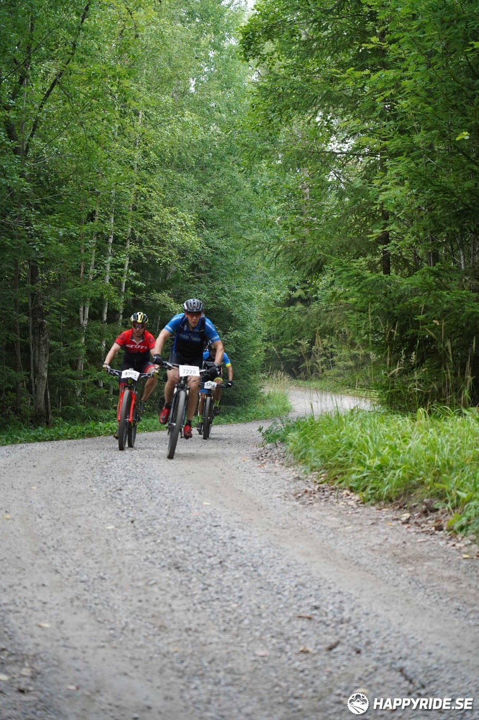 Bild från Finnmarksturen 2022