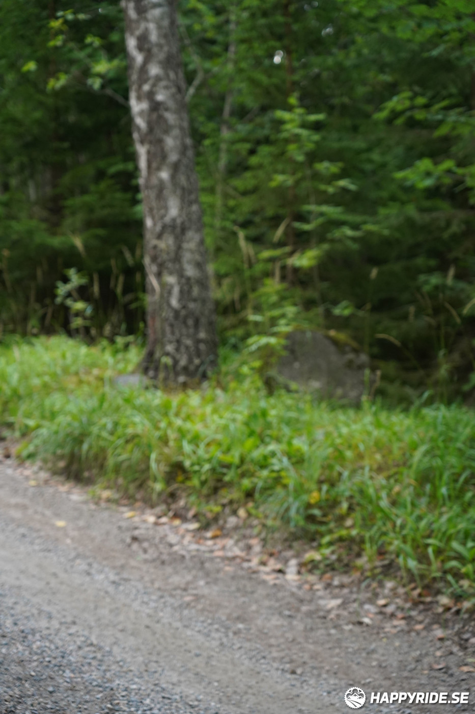 Bild från Finnmarksturen 2022