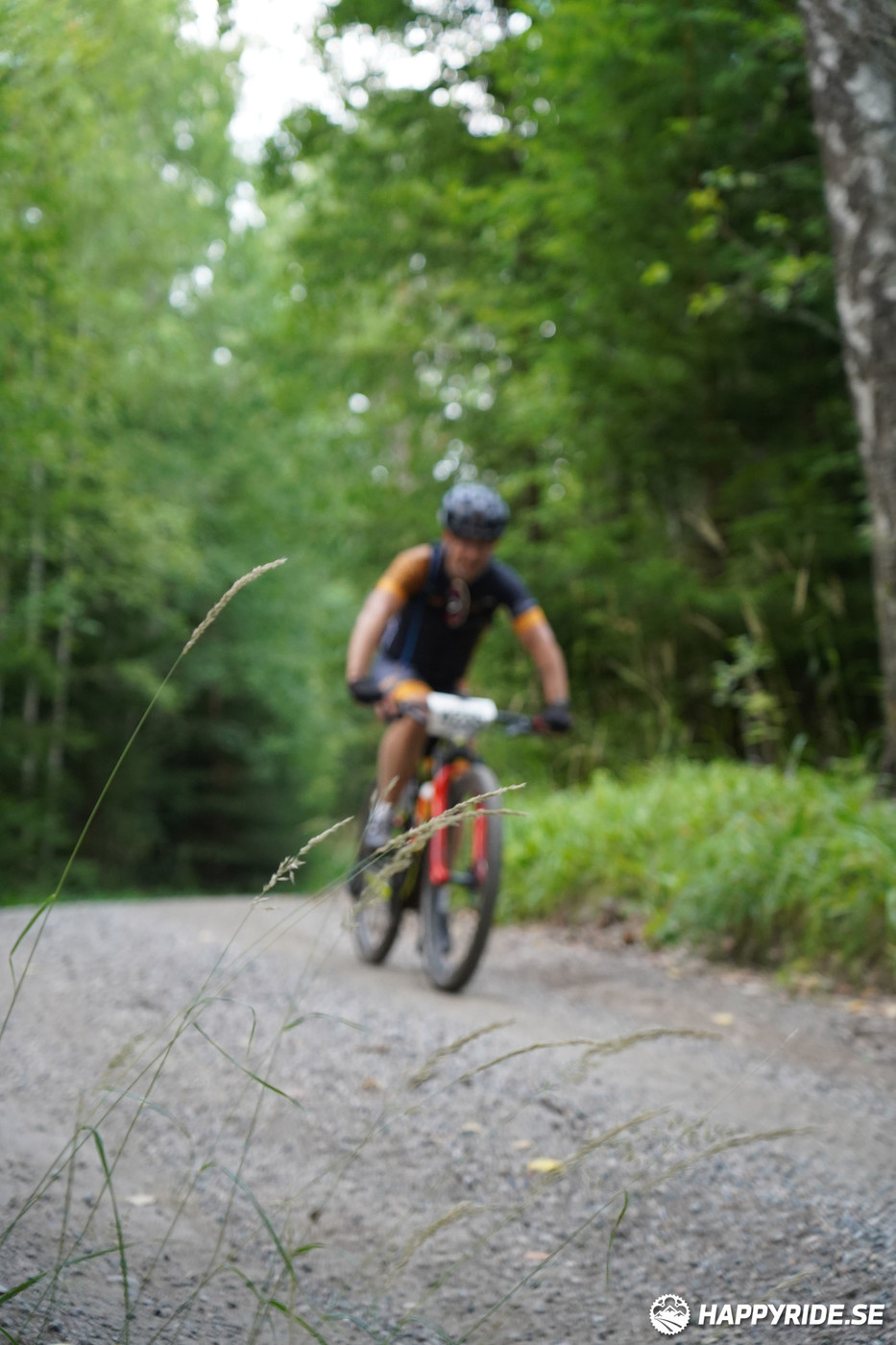 Bild från Finnmarksturen 2022