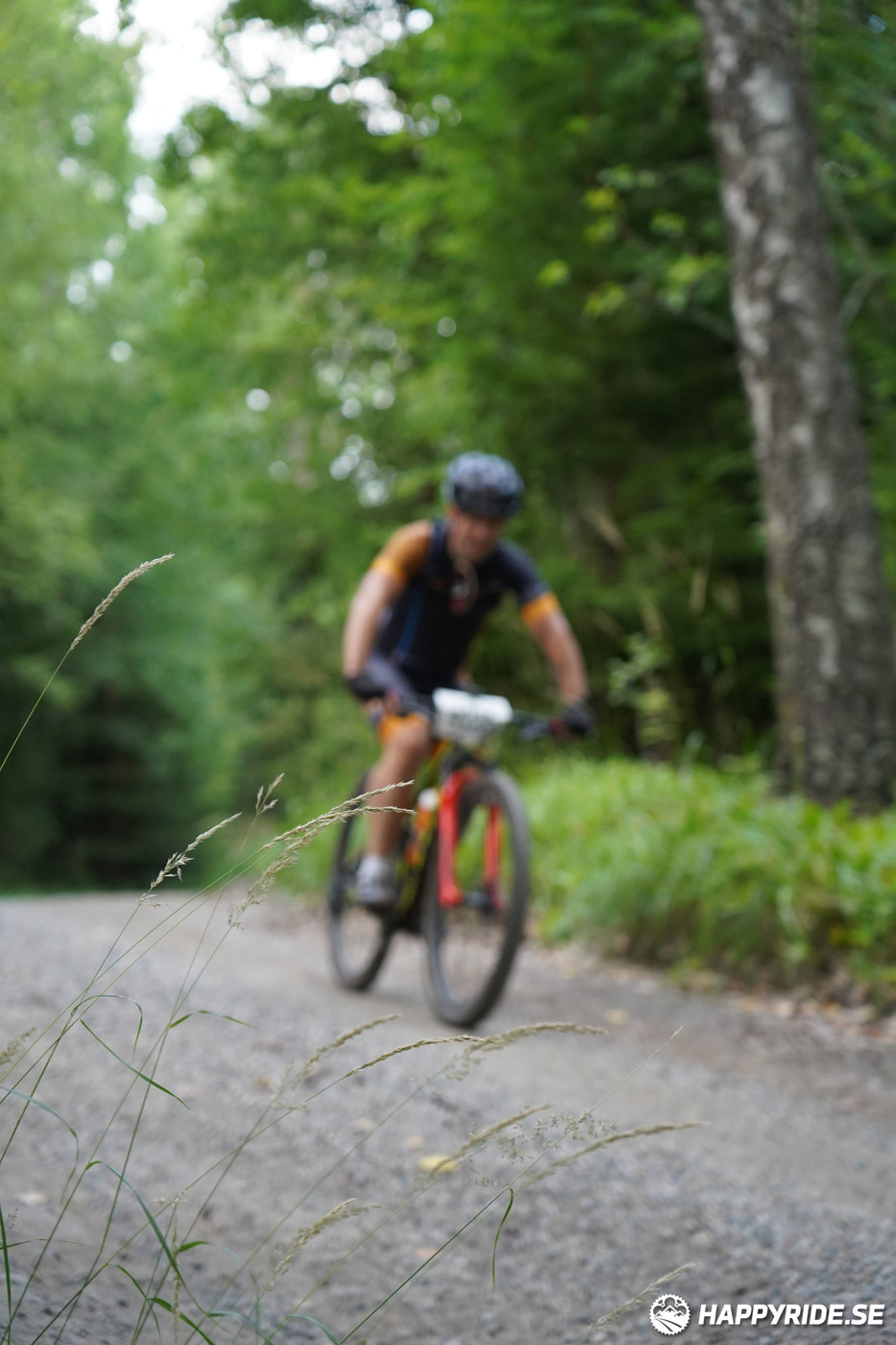 Bild från Finnmarksturen 2022