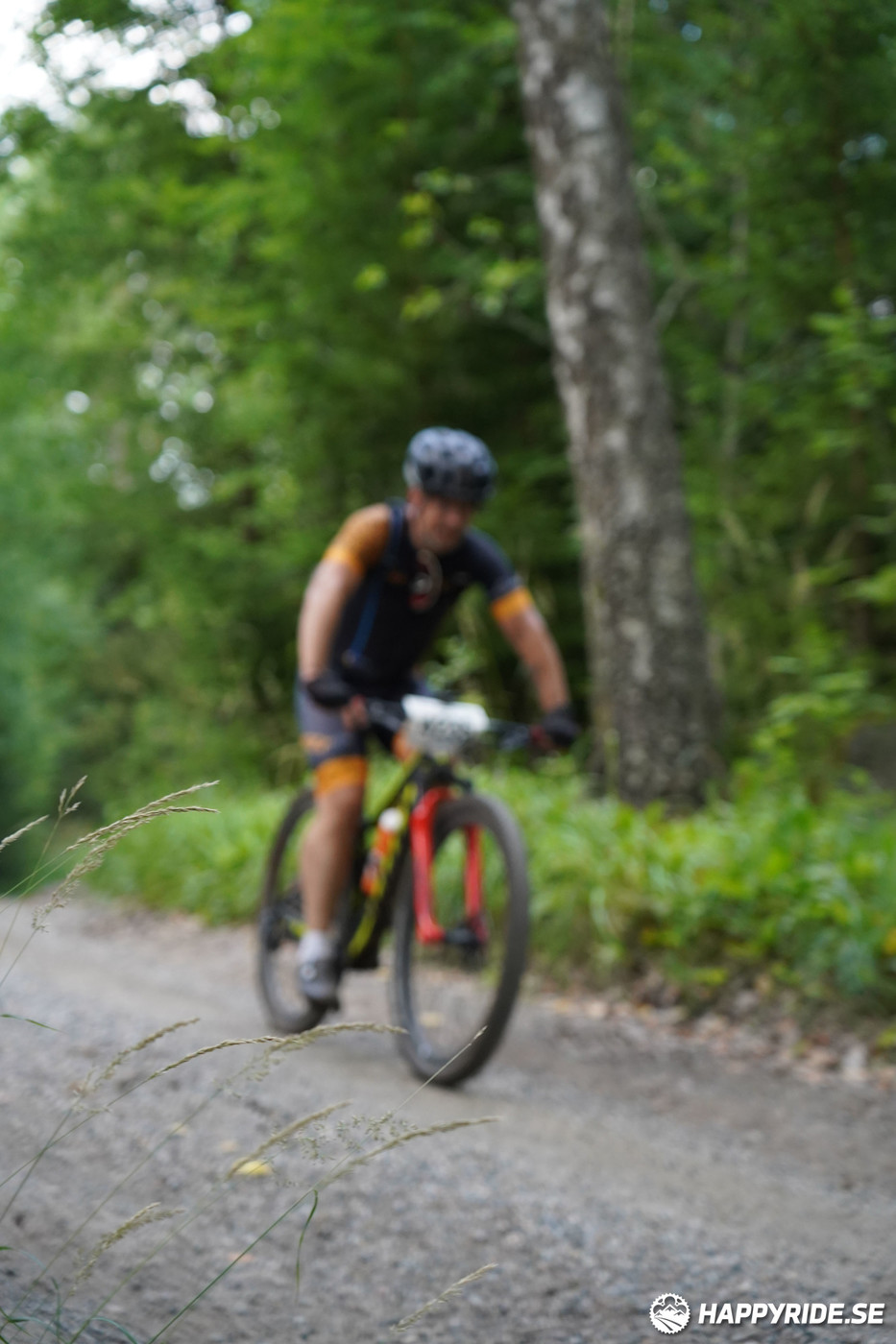 Bild från Finnmarksturen 2022