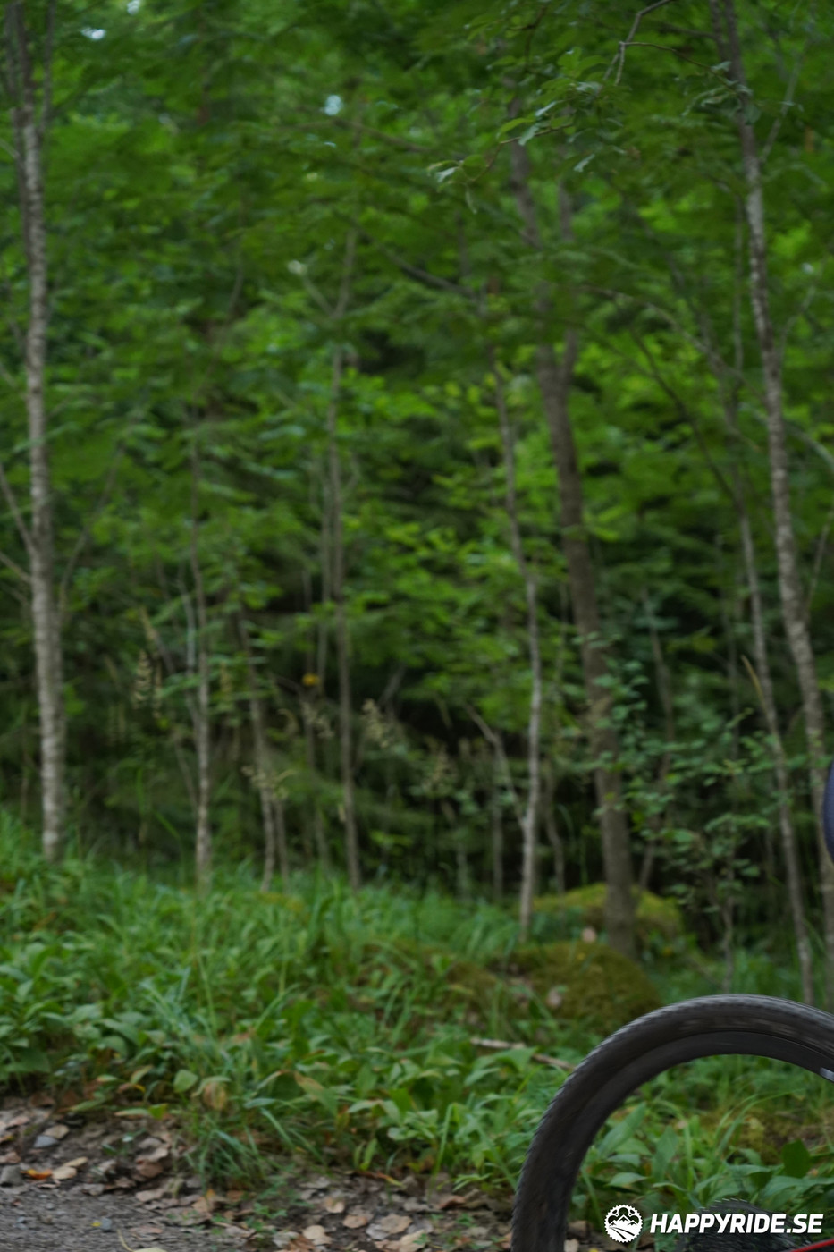 Bild från Finnmarksturen 2022