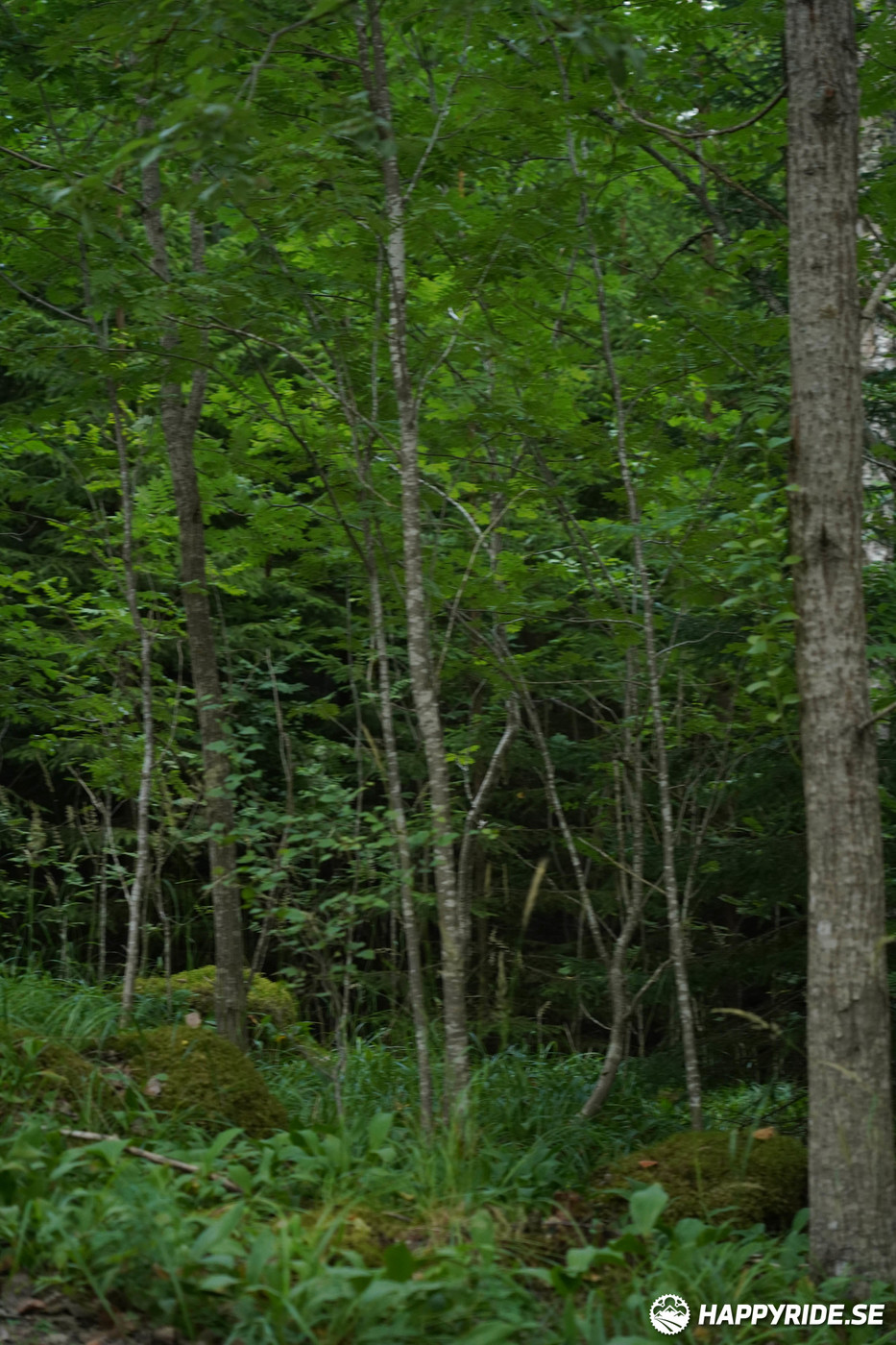 Bild från Finnmarksturen 2022