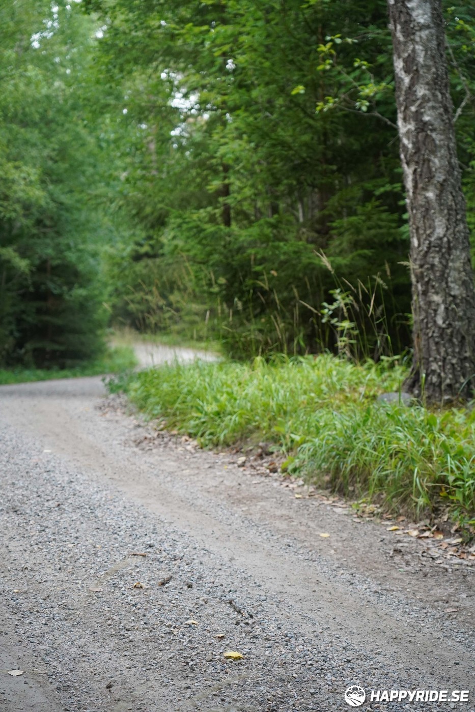 Bild från Finnmarksturen 2022