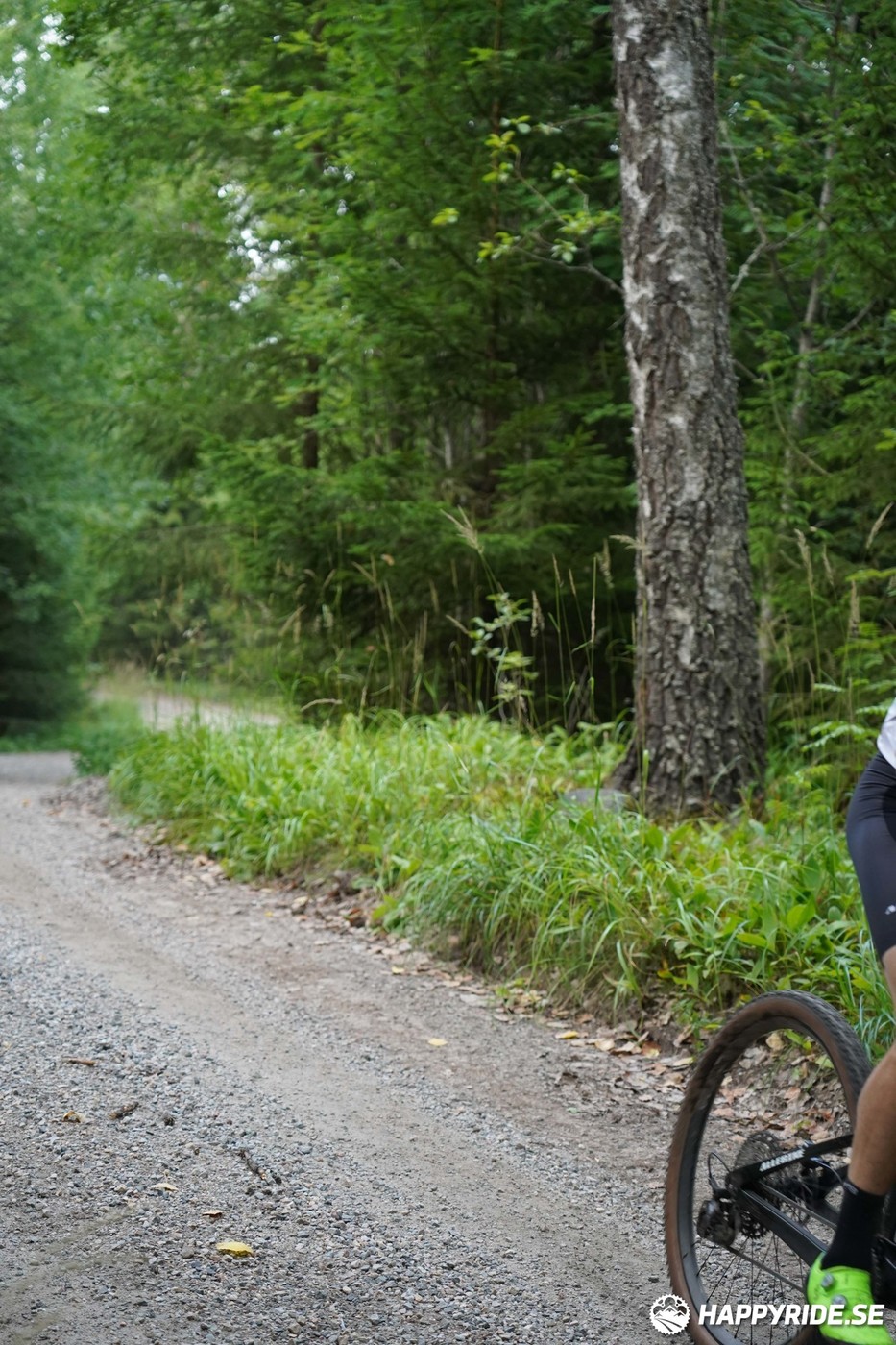 Bild från Finnmarksturen 2022