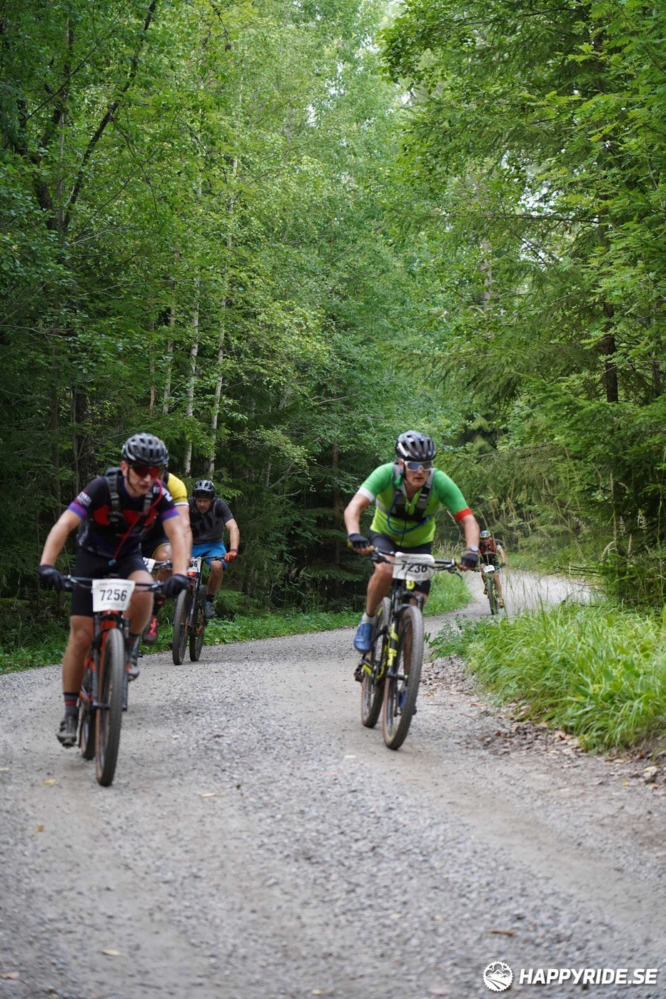 Bild från Finnmarksturen 2022