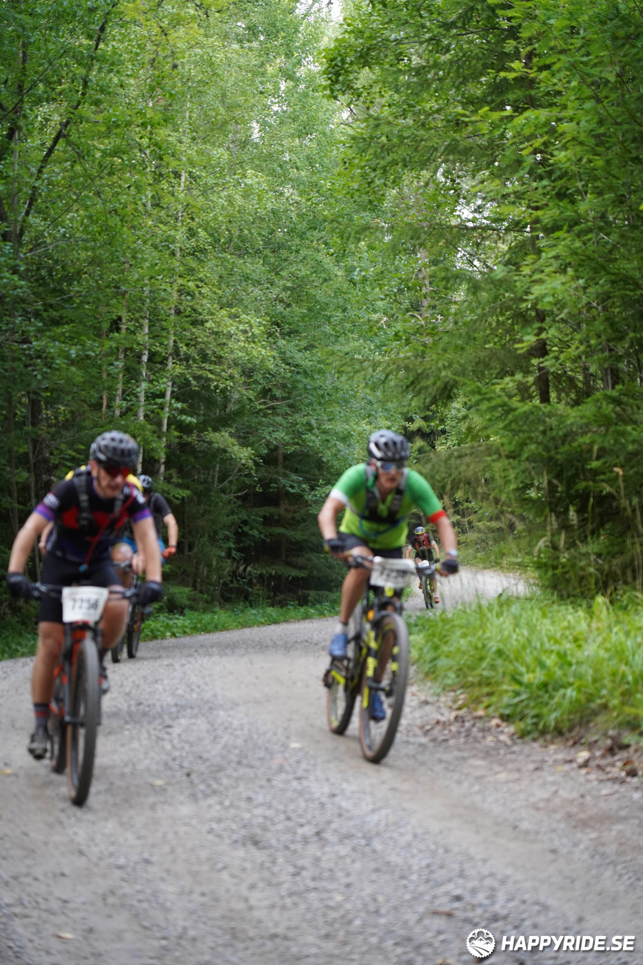 Bild från Finnmarksturen 2022