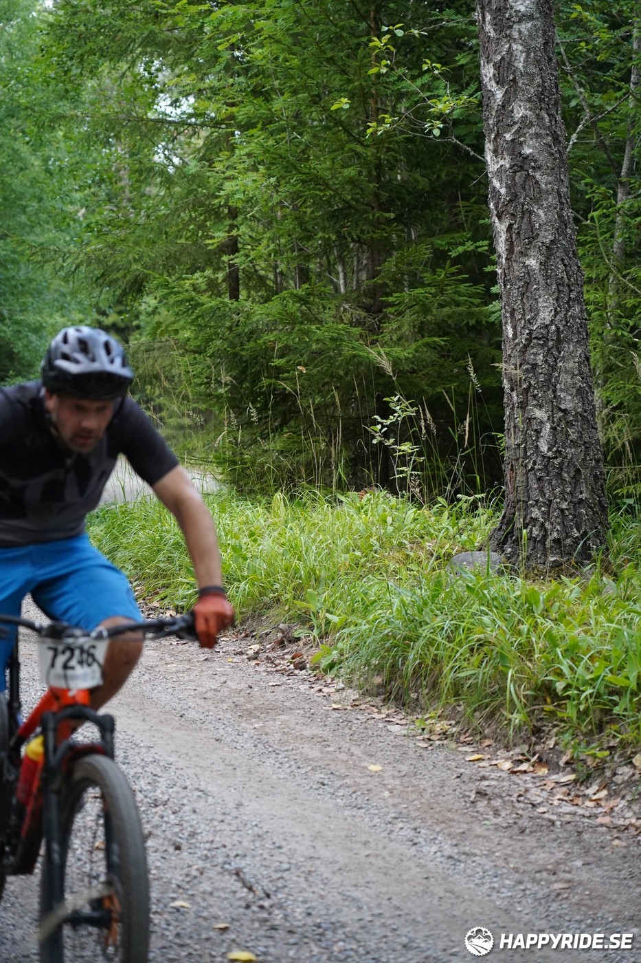 Bild från Finnmarksturen 2022