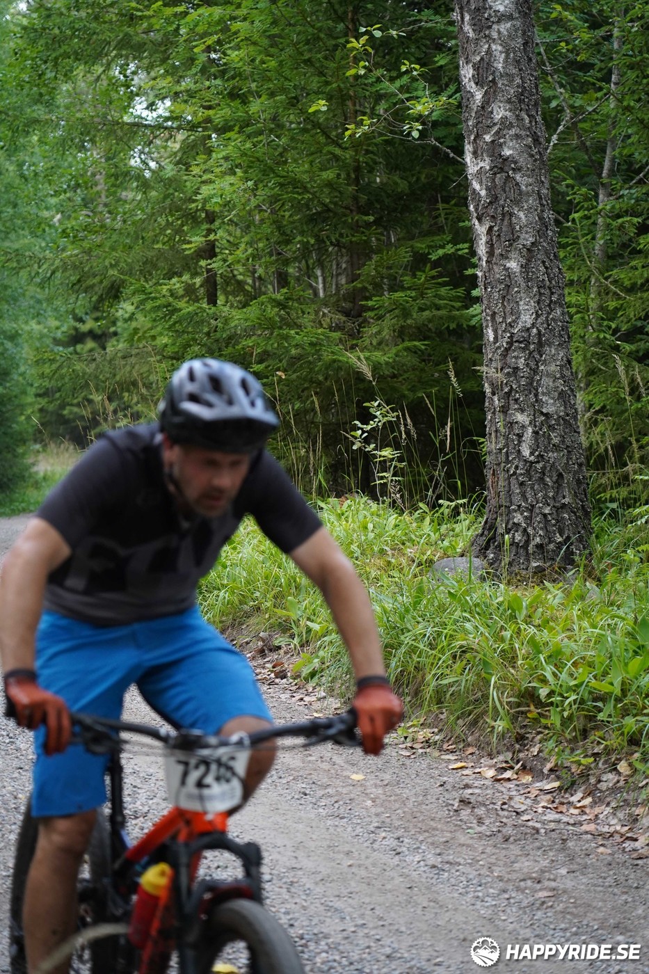 Bild från Finnmarksturen 2022