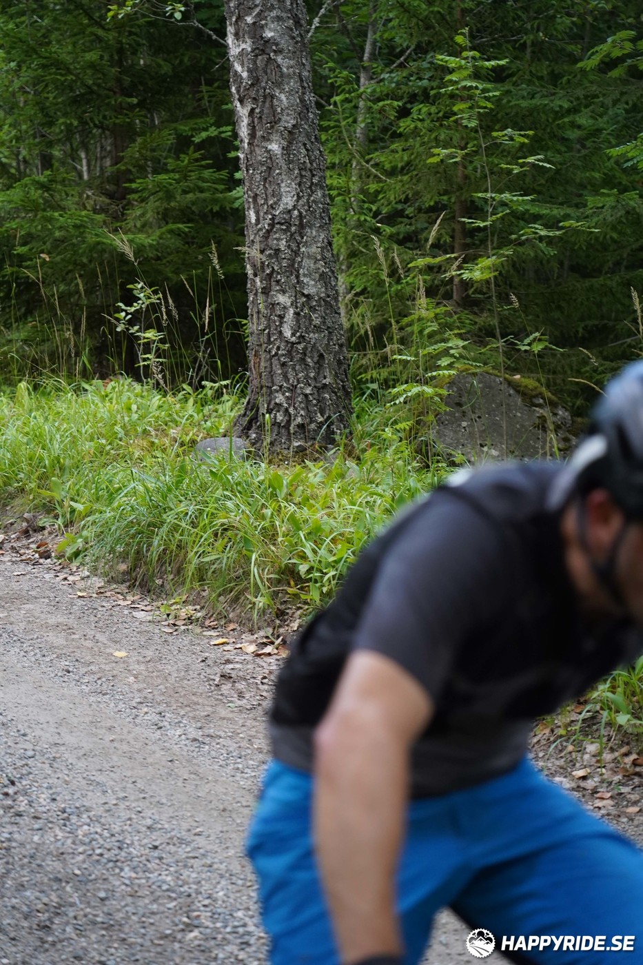 Bild från Finnmarksturen 2022