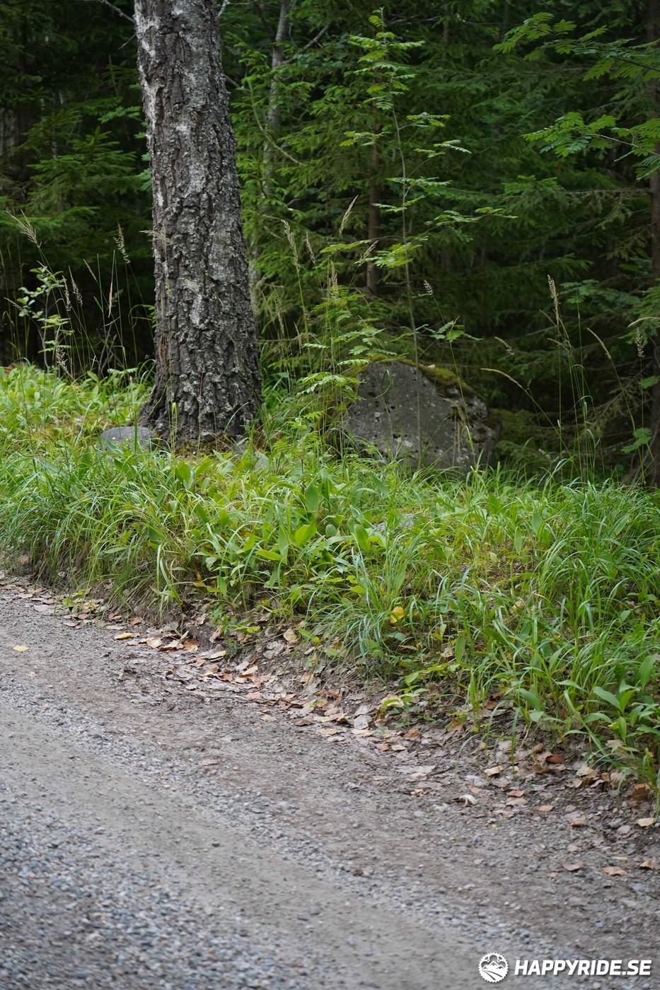 Bild från Finnmarksturen 2022