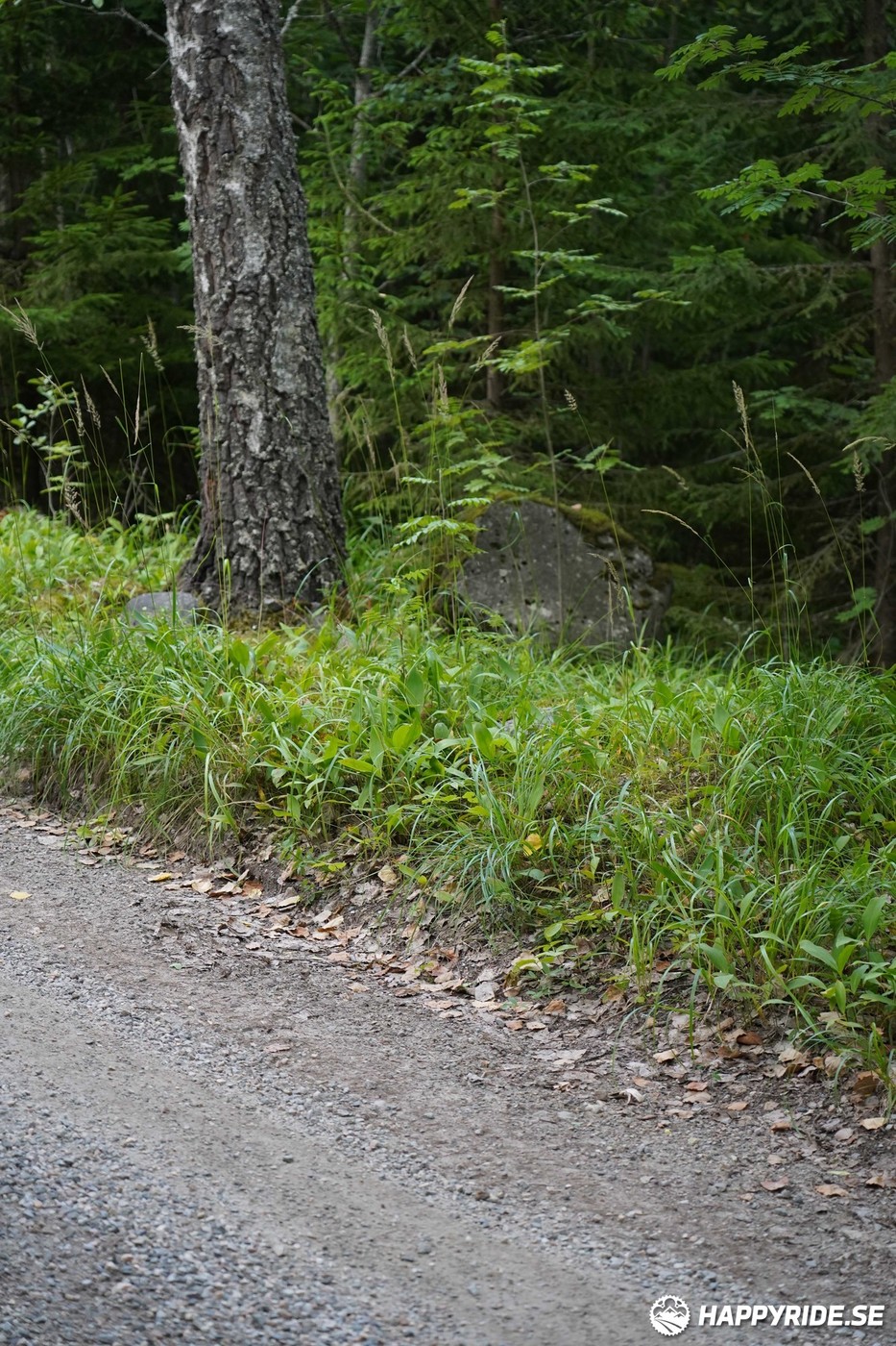 Bild från Finnmarksturen 2022