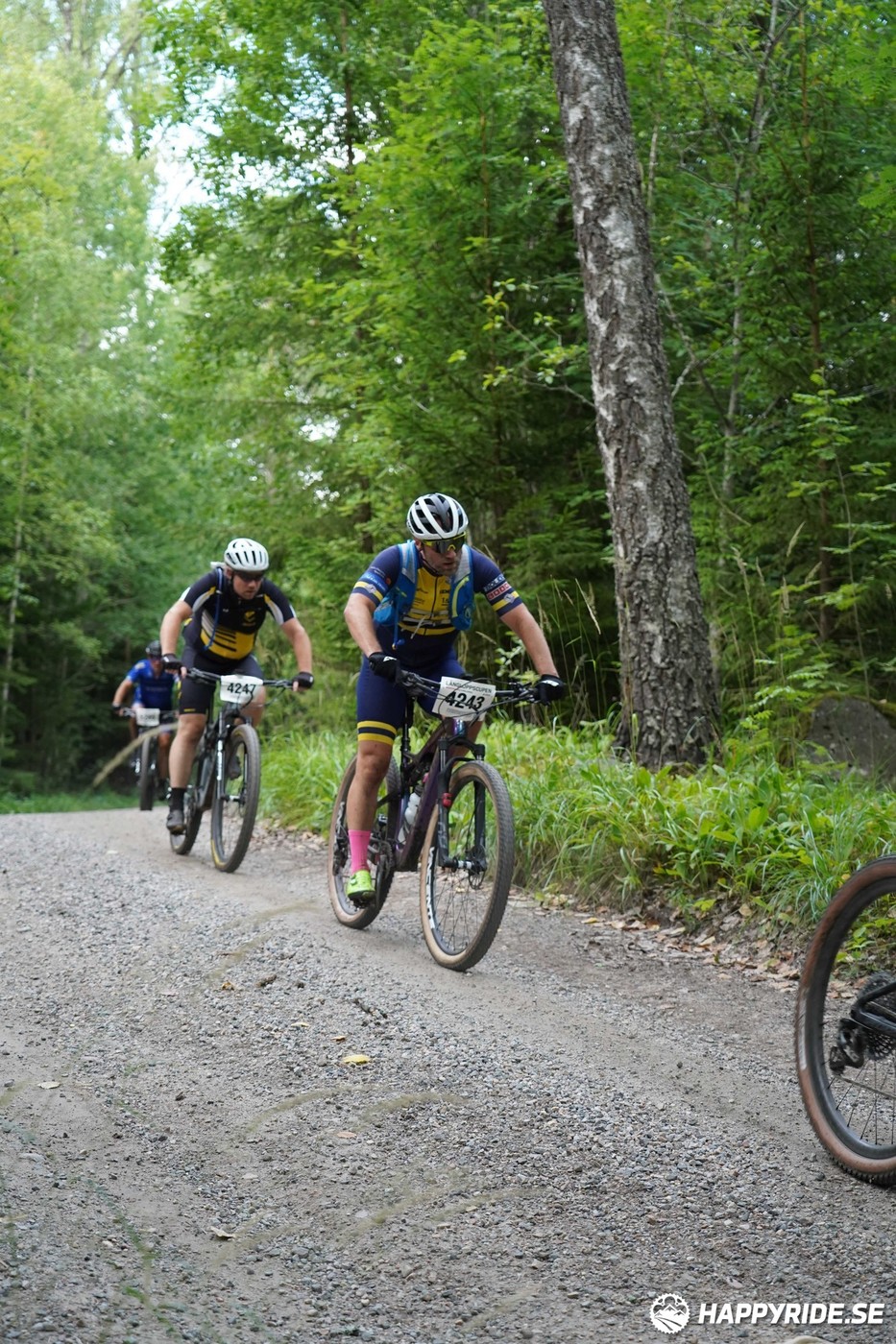 Bild från Finnmarksturen 2022