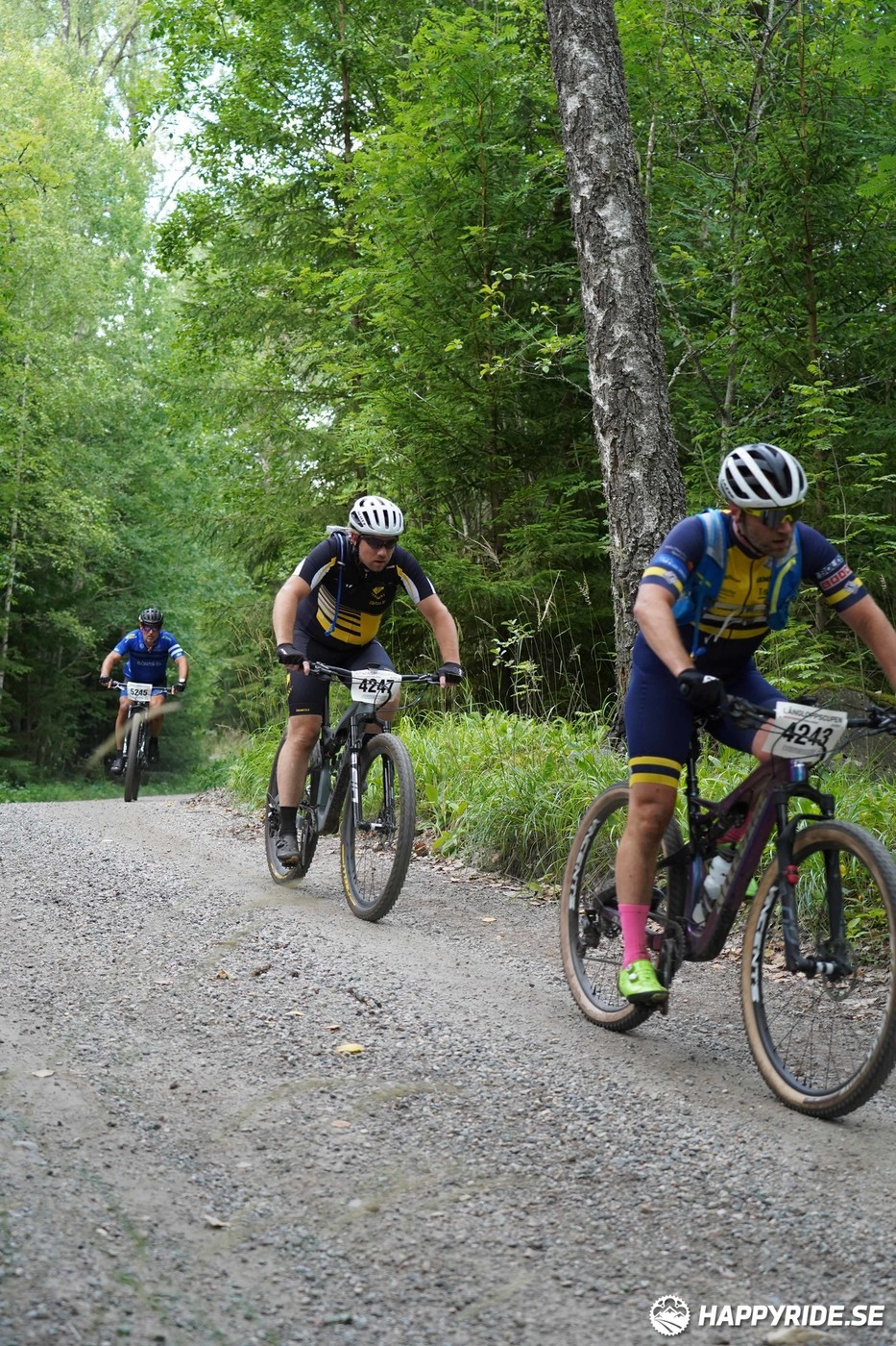 Bild från Finnmarksturen 2022