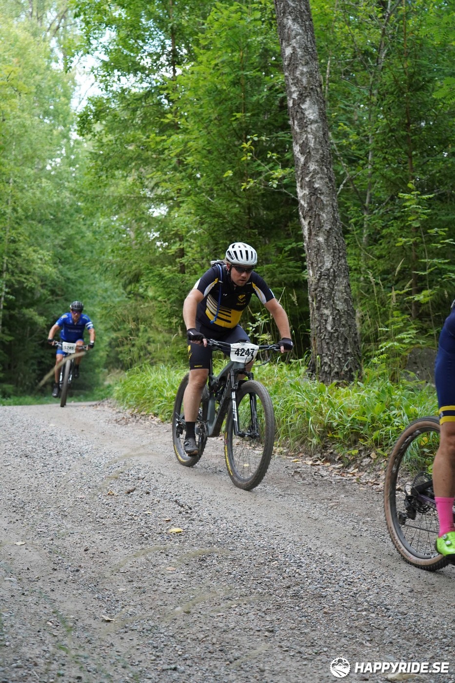 Bild från Finnmarksturen 2022