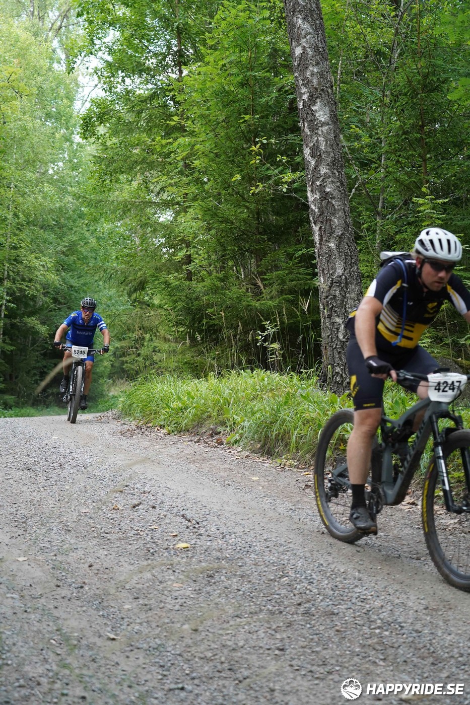 Bild från Finnmarksturen 2022