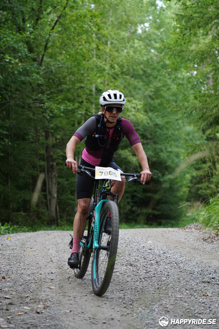 Bild från Finnmarksturen 2022