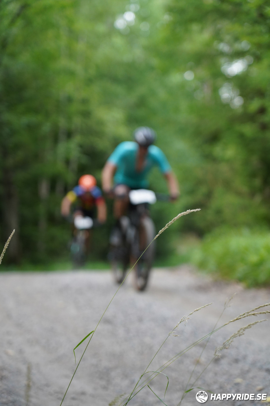 Bild från Finnmarksturen 2022