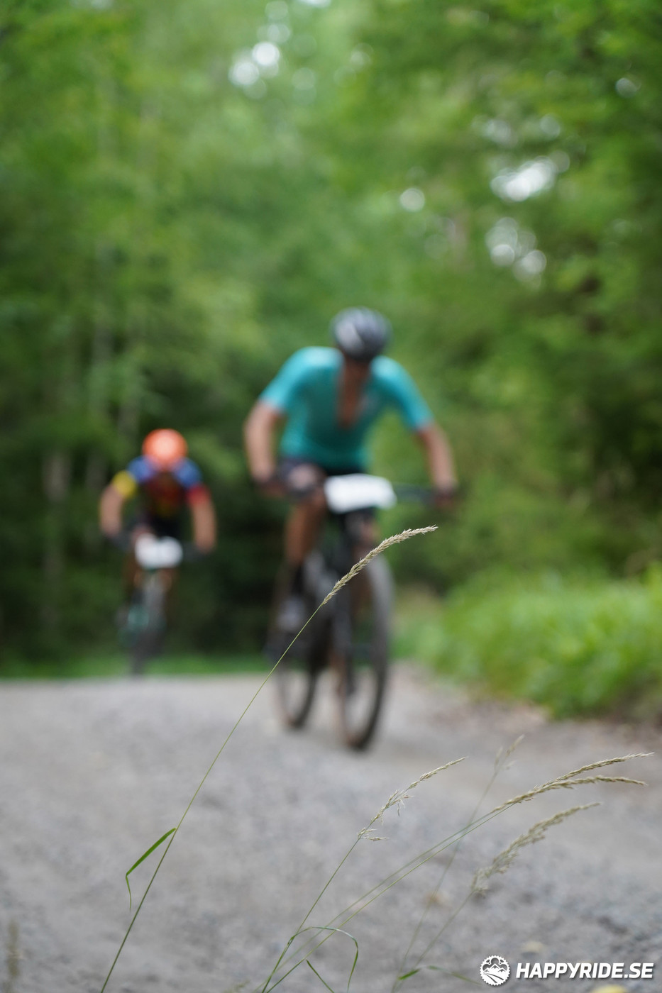 Bild från Finnmarksturen 2022