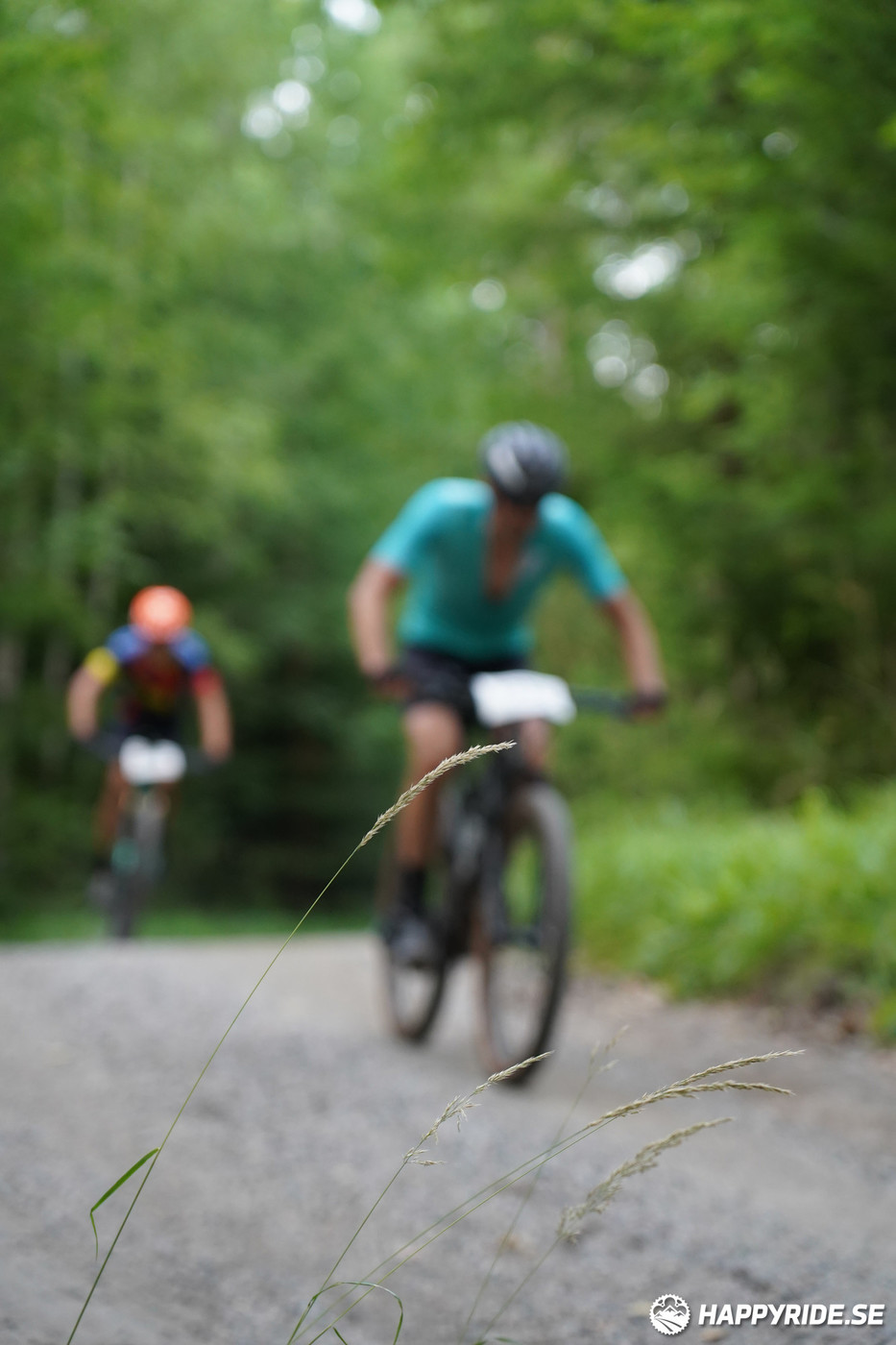 Bild från Finnmarksturen 2022