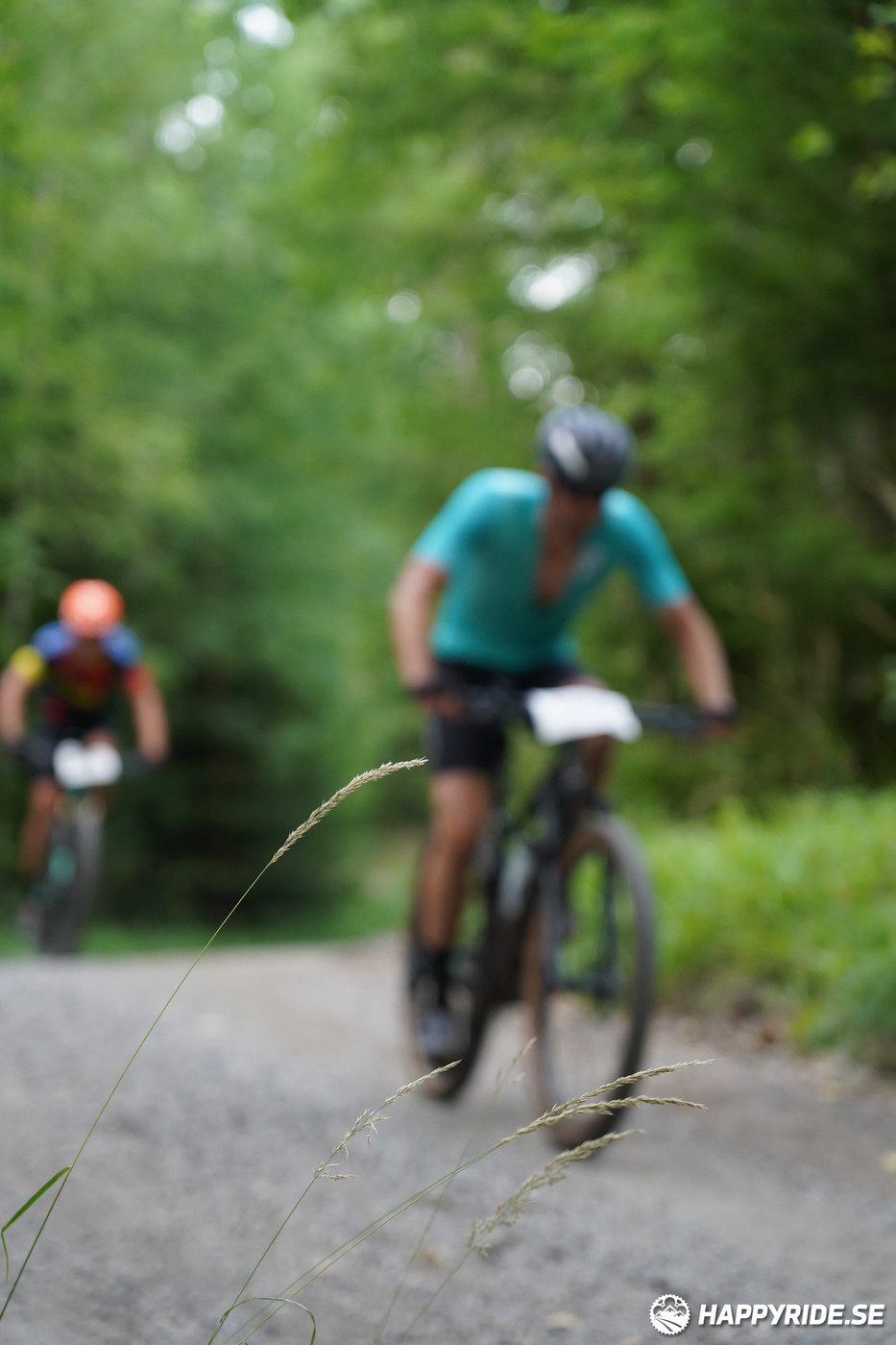 Bild från Finnmarksturen 2022