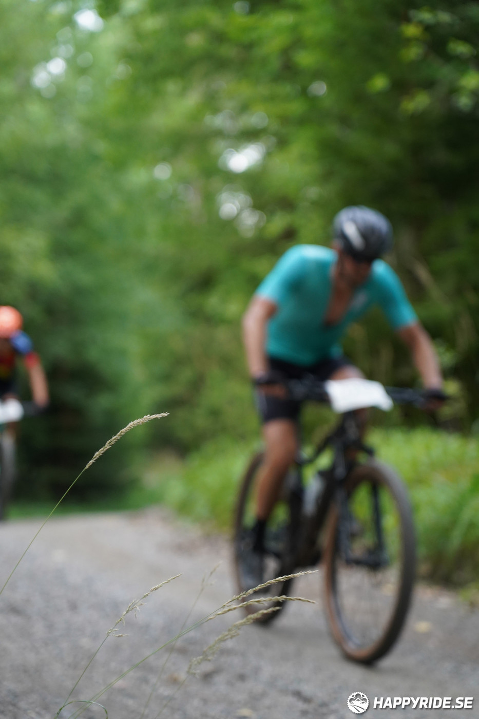 Bild från Finnmarksturen 2022