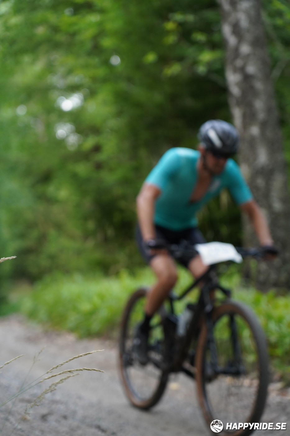 Bild från Finnmarksturen 2022