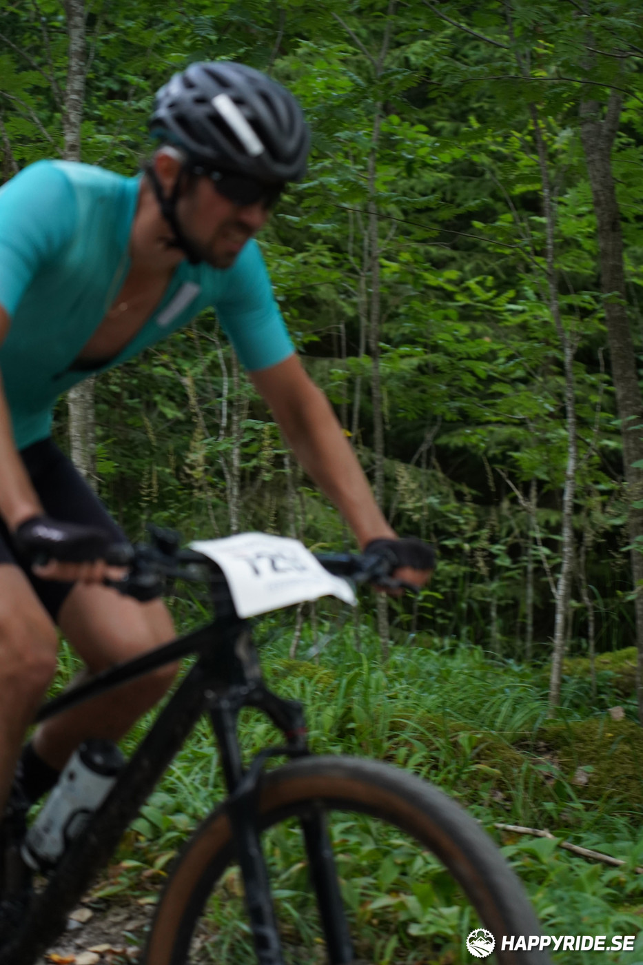 Bild från Finnmarksturen 2022