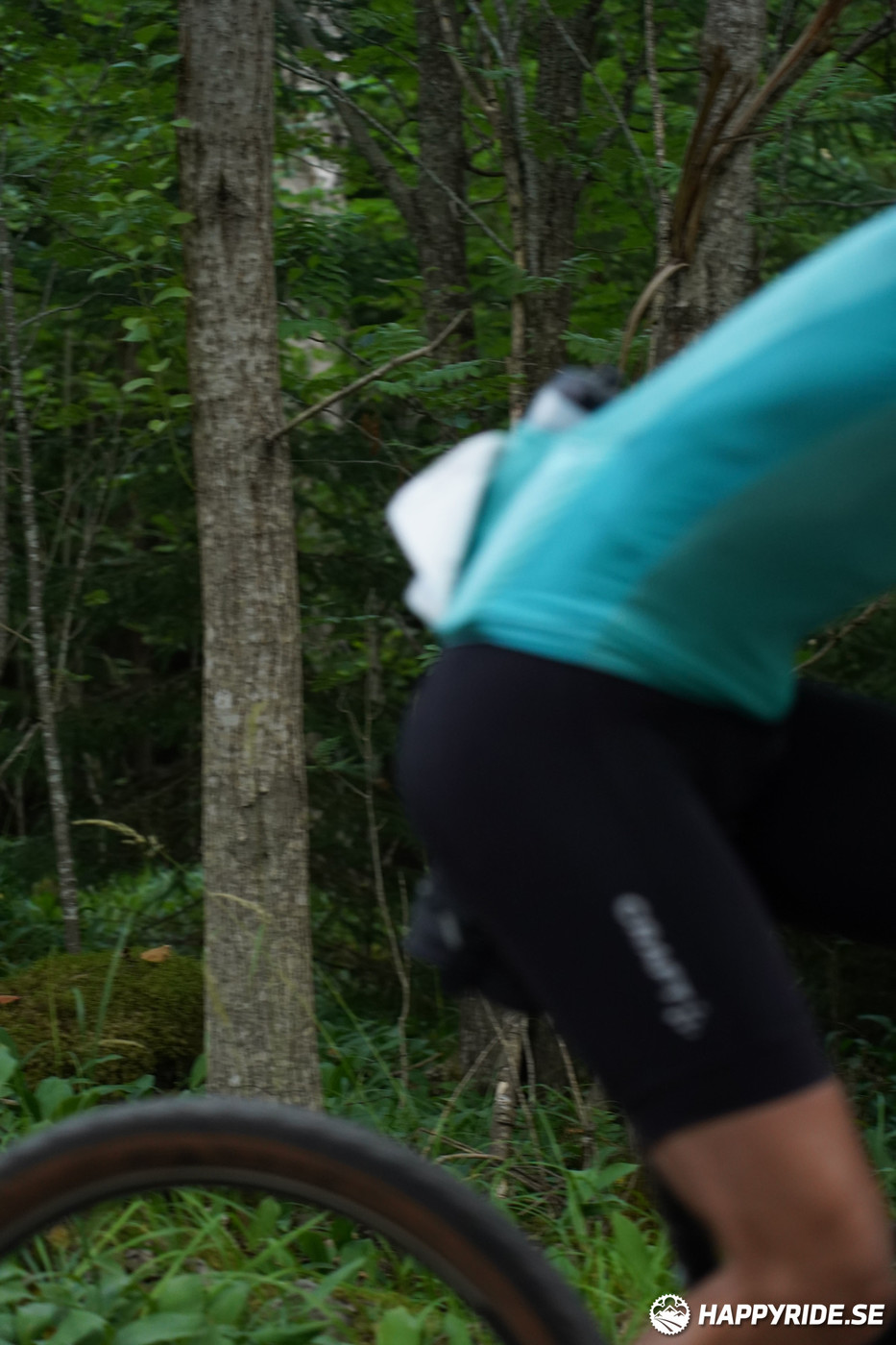 Bild från Finnmarksturen 2022