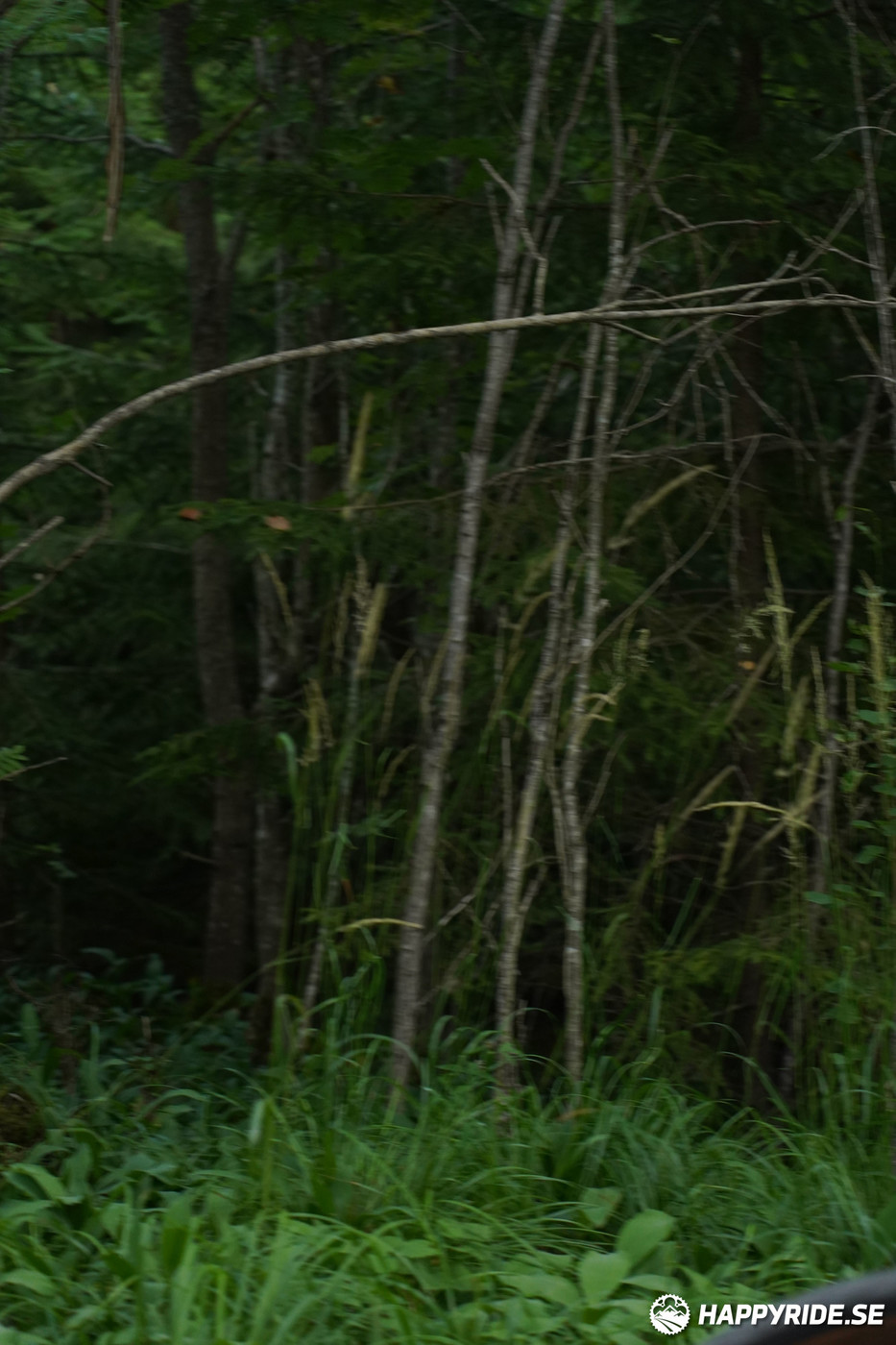 Bild från Finnmarksturen 2022