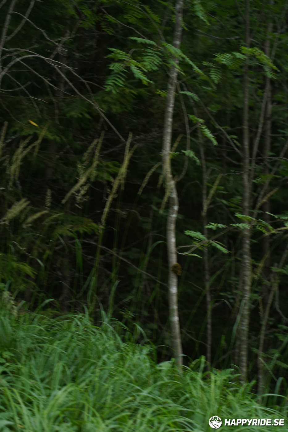 Bild från Finnmarksturen 2022