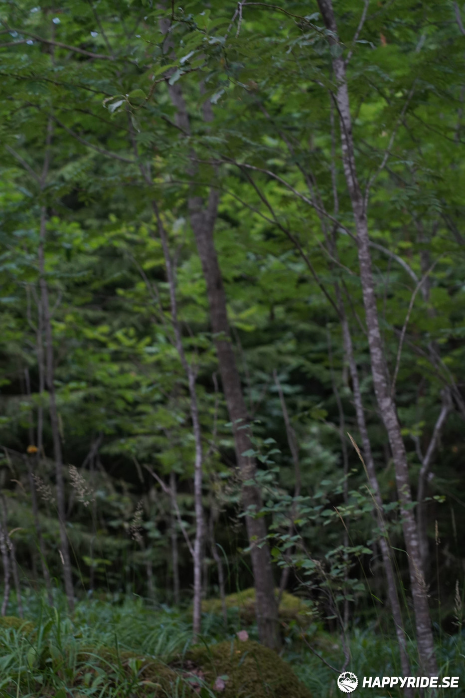 Bild från Finnmarksturen 2022