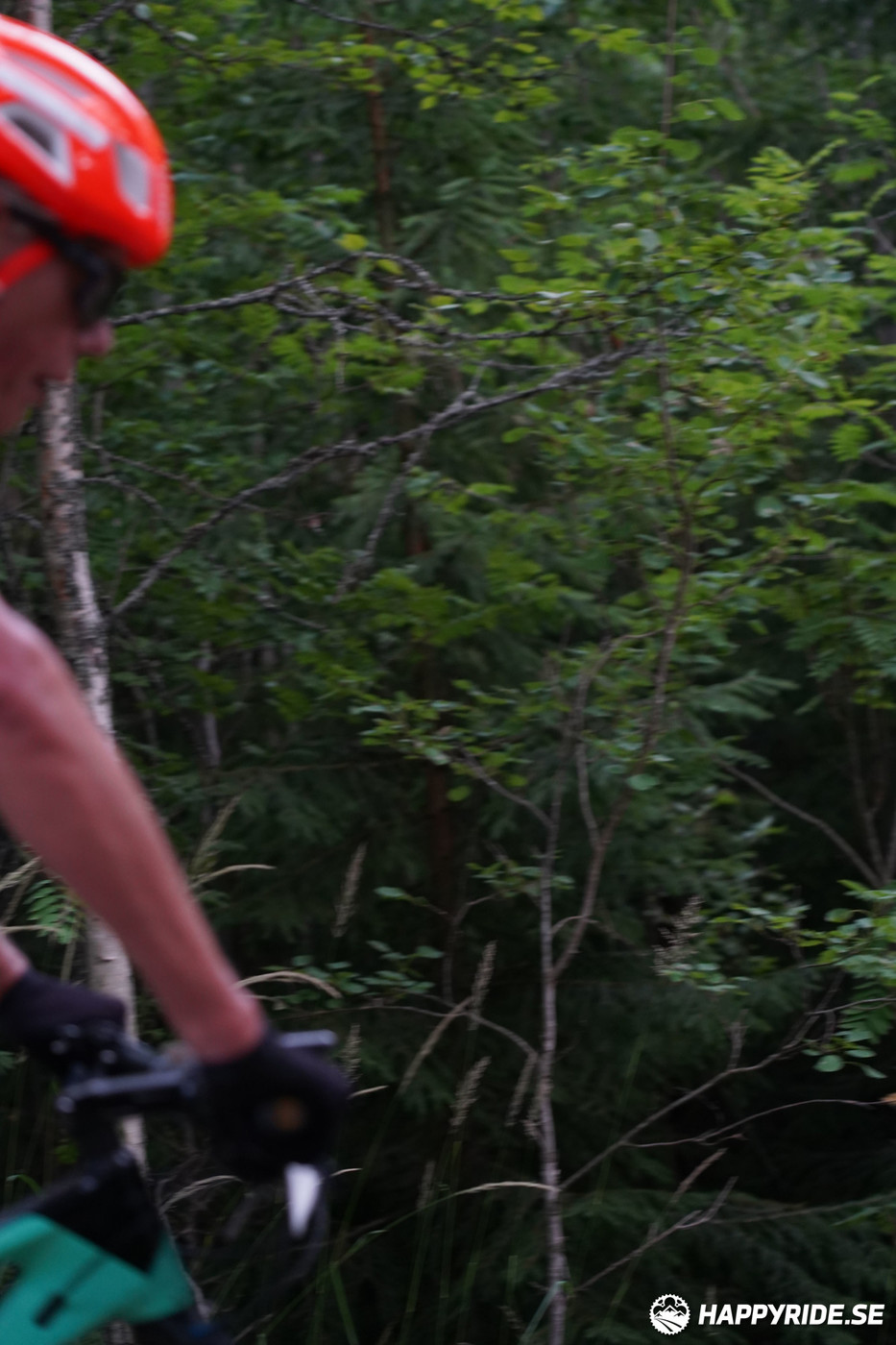 Bild från Finnmarksturen 2022