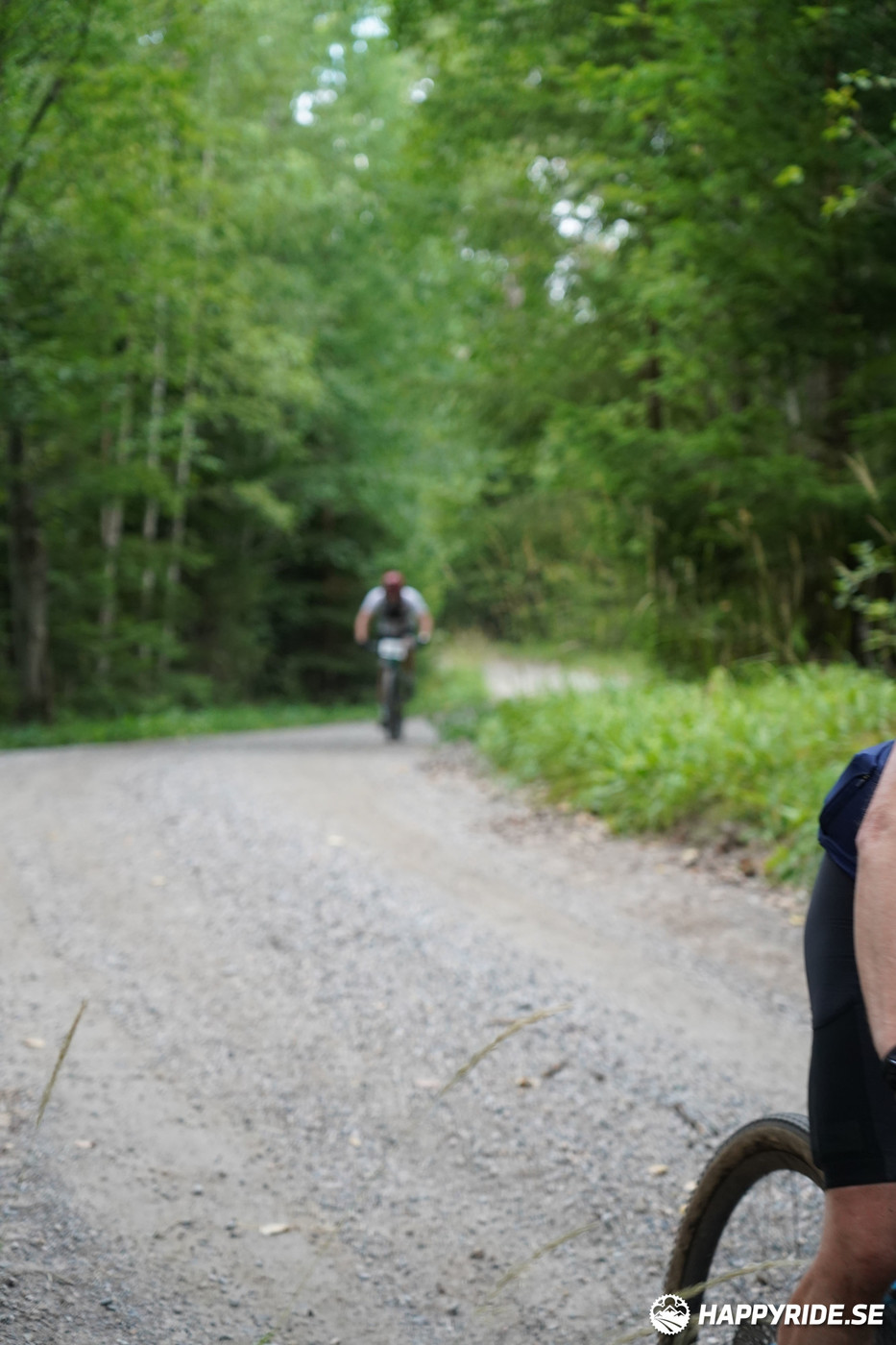 Bild från Finnmarksturen 2022