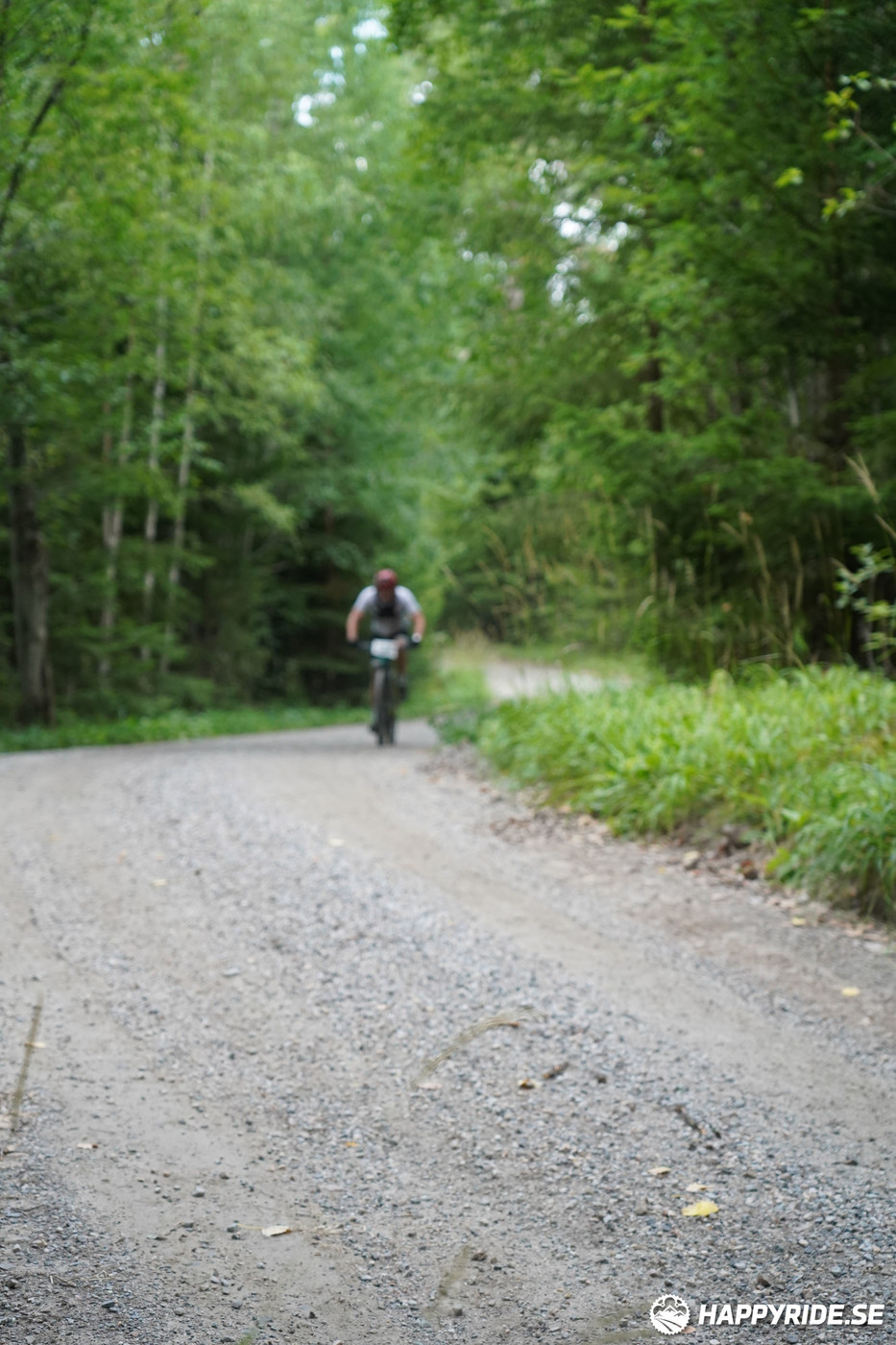 Bild från Finnmarksturen 2022