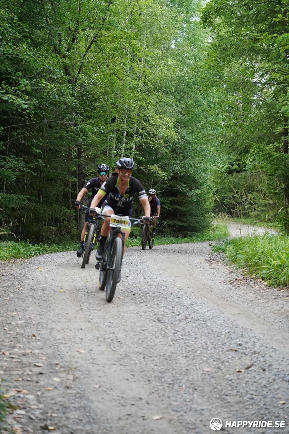 Bild från Finnmarksturen 2022