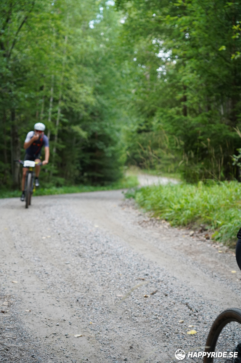 Bild från Finnmarksturen 2022