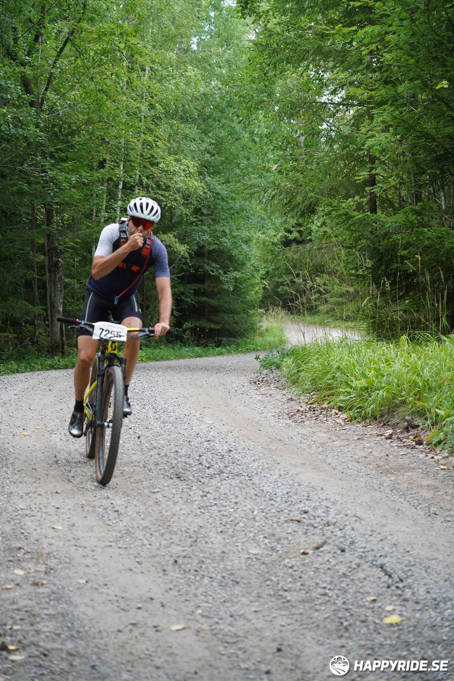 Bild från Finnmarksturen 2022