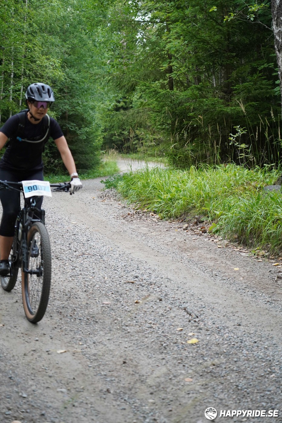 Bild från Finnmarksturen 2022