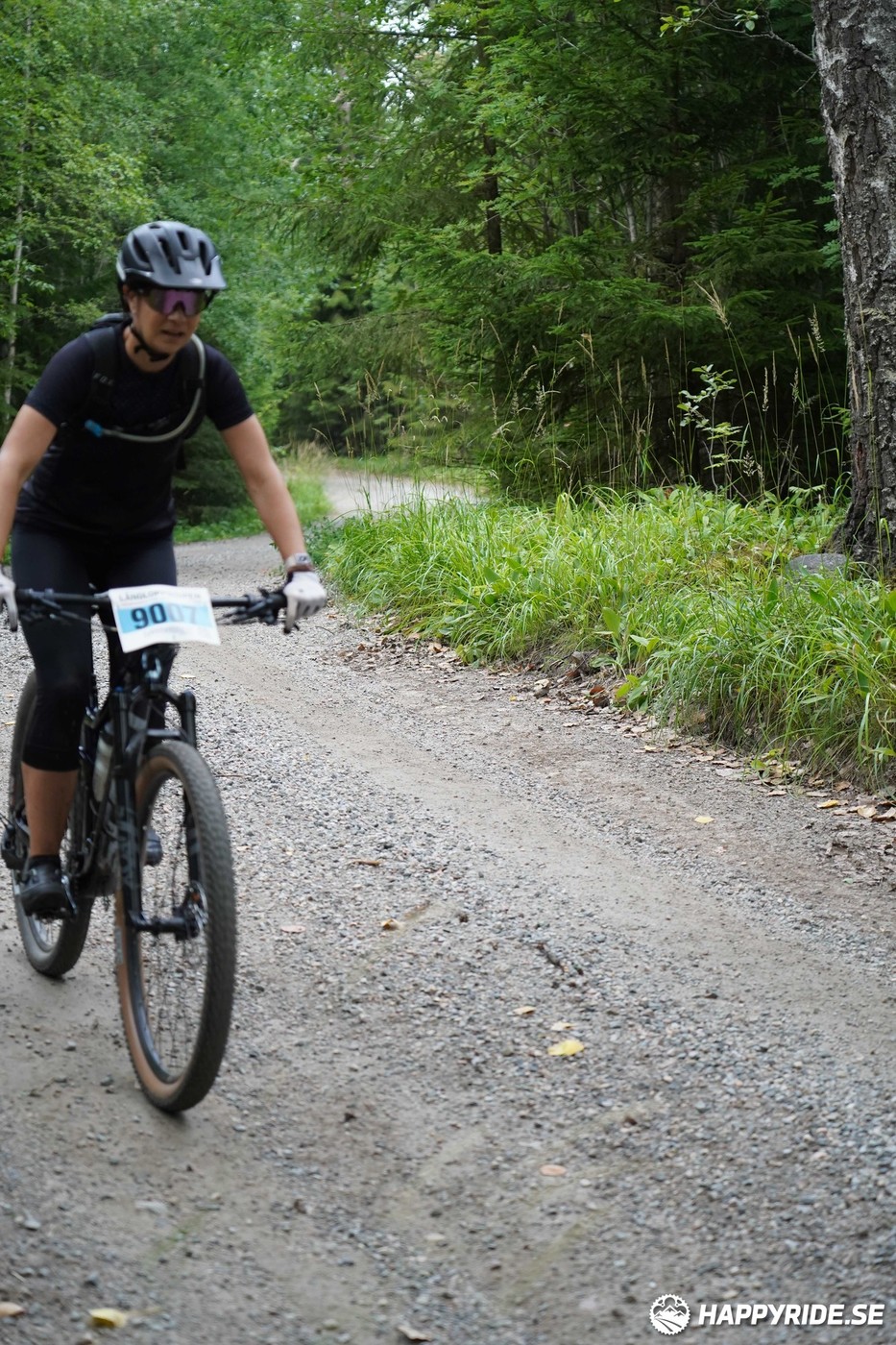 Bild från Finnmarksturen 2022